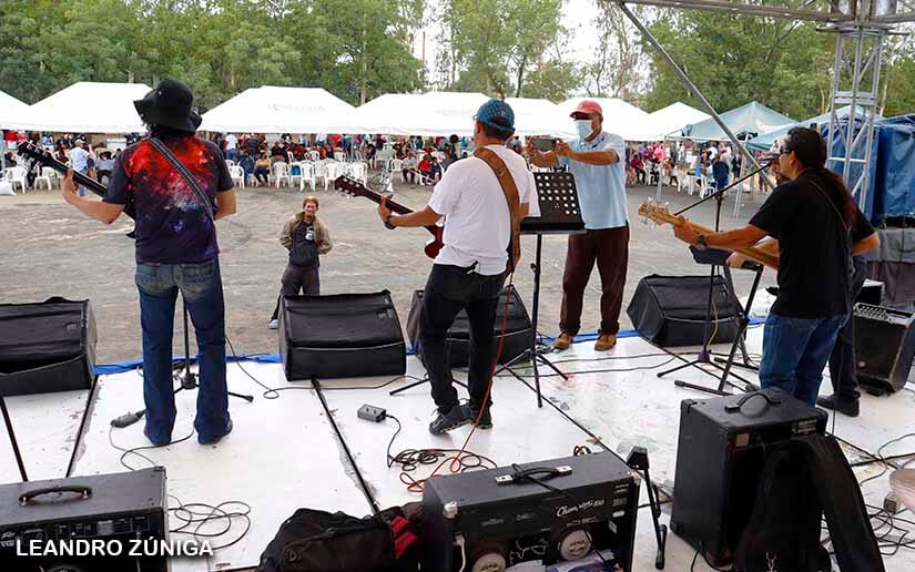 feria-bovina